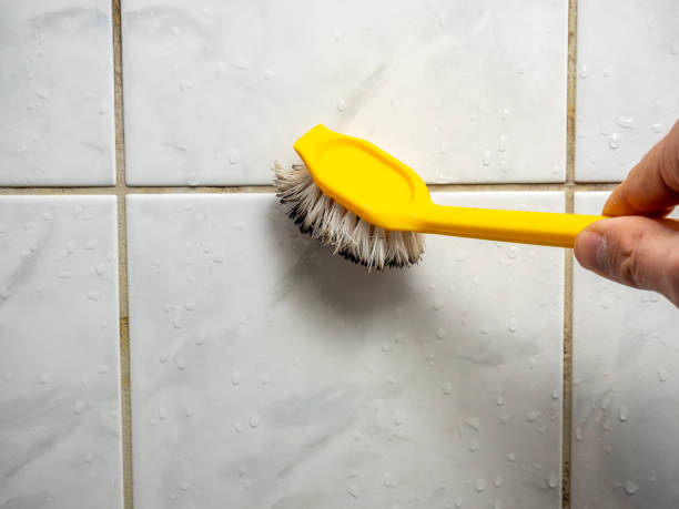 Best Attic Mold Removal  in Brackenridge, PA