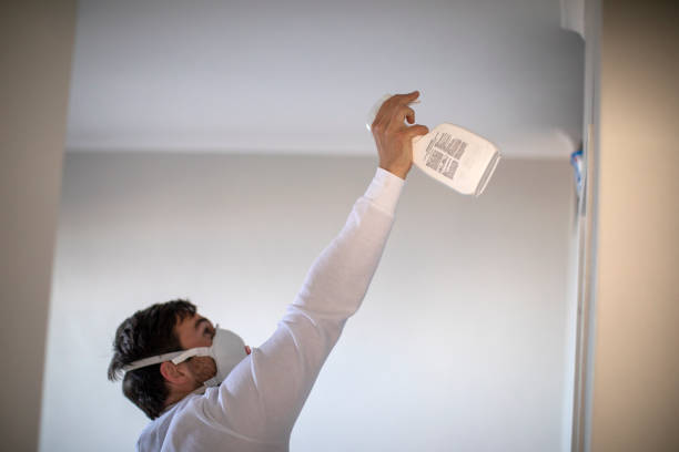 Best Mold Removal Near Me  in Brackenridge, PA